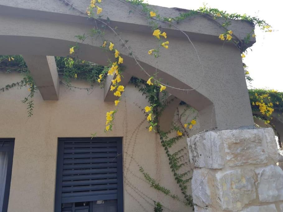 Hadar Rest & Relax Apartment Kefar Hittim Exterior foto